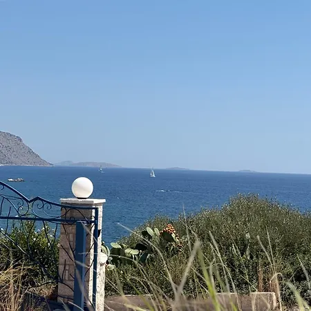 Livealot * Ermioni