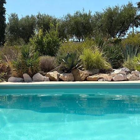 Livealot וילה ארמיוני